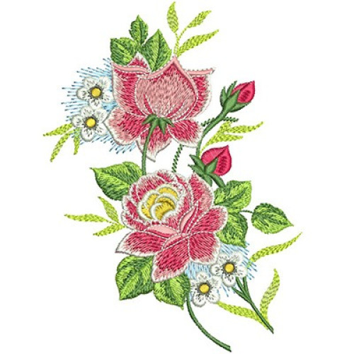 Roses 20